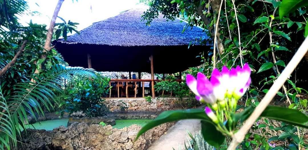 Villa Kim'S Garden Anda  Esterno foto