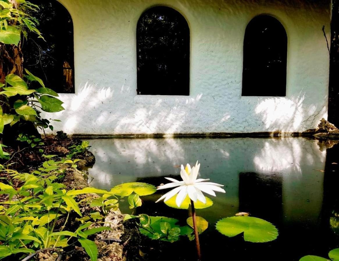 Villa Kim'S Garden Anda  Esterno foto