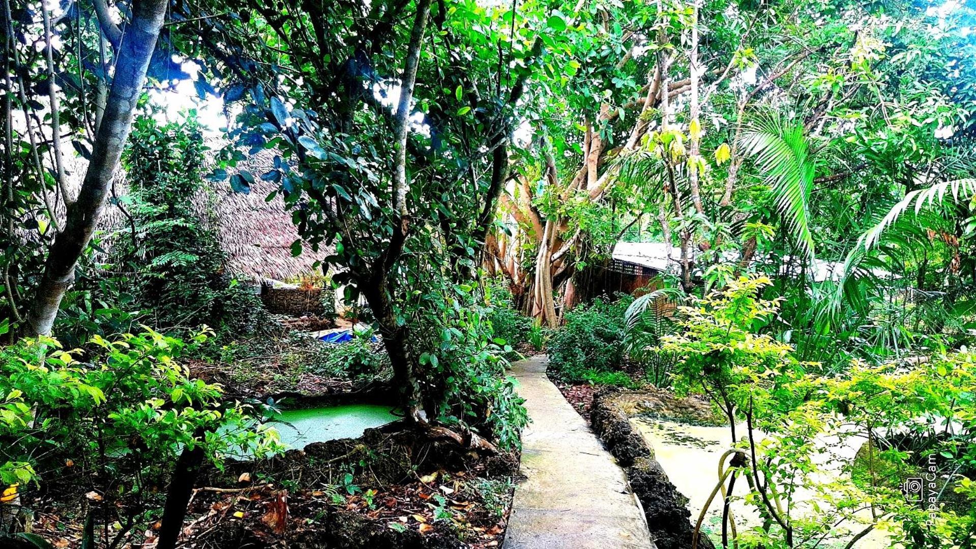 Villa Kim'S Garden Anda  Esterno foto