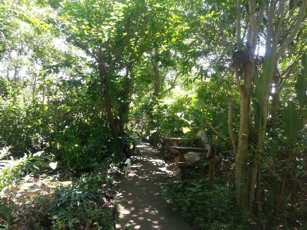 Villa Kim'S Garden Anda  Esterno foto