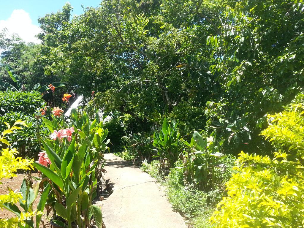 Villa Kim'S Garden Anda  Esterno foto
